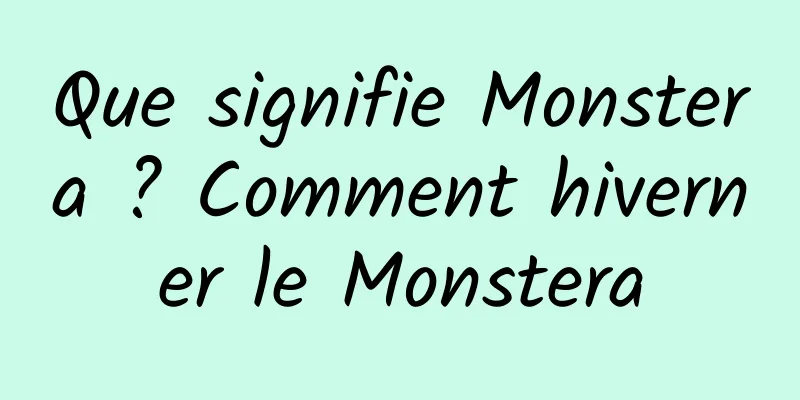 Que signifie Monstera ? Comment hiverner le Monstera