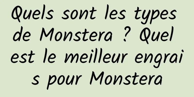 Quels sont les types de Monstera ? Quel est le meilleur engrais pour Monstera