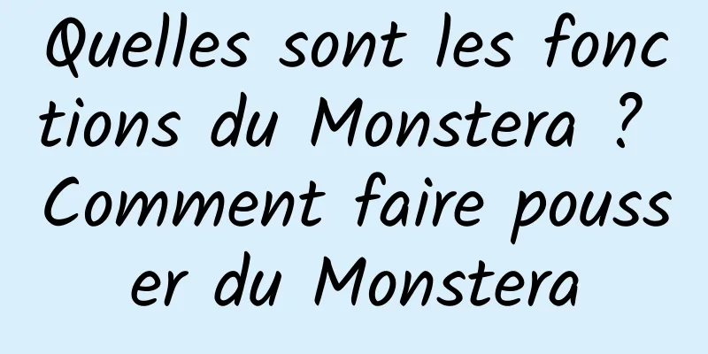 Quelles sont les fonctions du Monstera ? Comment faire pousser du Monstera