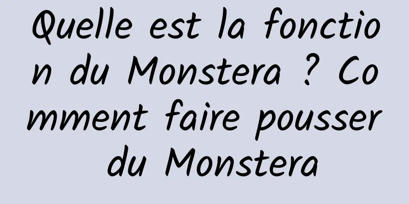 Quelle est la fonction du Monstera ? Comment faire pousser du Monstera