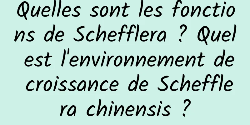 Quelles sont les fonctions de Schefflera ? Quel est l'environnement de croissance de Schefflera chinensis ?