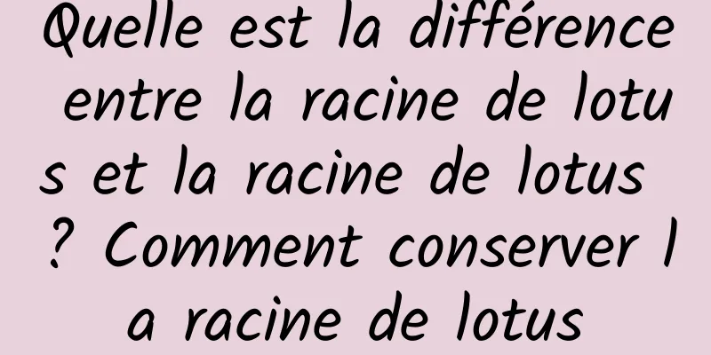 Quelle est la différence entre la racine de lotus et la racine de lotus ? Comment conserver la racine de lotus