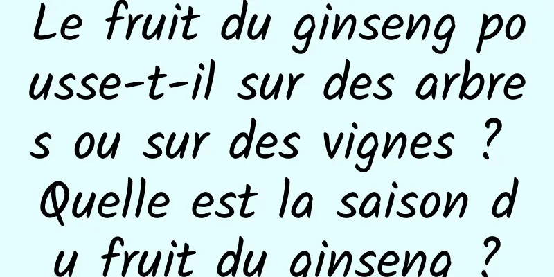 Le fruit du ginseng pousse-t-il sur des arbres ou sur des vignes ? Quelle est la saison du fruit du ginseng ?