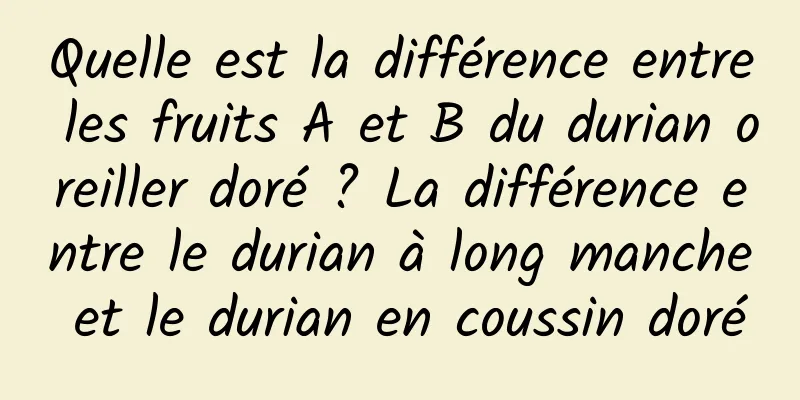 Quelle est la différence entre les fruits A et B du durian oreiller doré ? La différence entre le durian à long manche et le durian en coussin doré