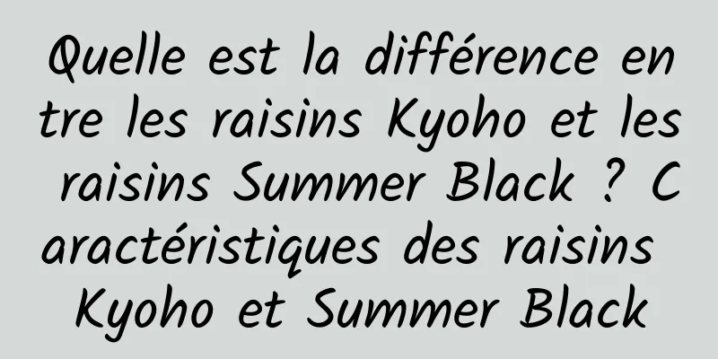 Quelle est la différence entre les raisins Kyoho et les raisins Summer Black ? Caractéristiques des raisins Kyoho et Summer Black