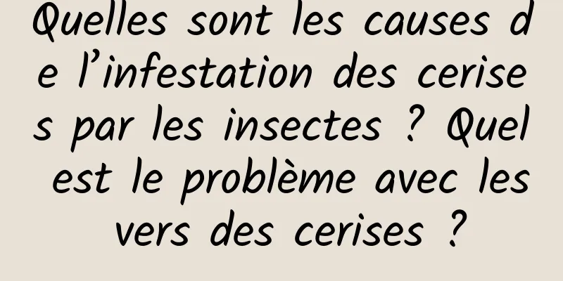 Quelles sont les causes de l’infestation des cerises par les insectes ? Quel est le problème avec les vers des cerises ?
