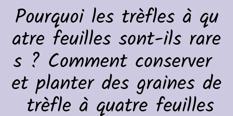 Pourquoi les trèfles à quatre feuilles sont-ils rares ? Comment conserver et planter des graines de trèfle à quatre feuilles