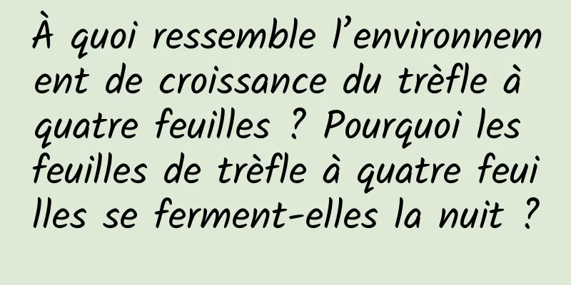 À quoi ressemble l’environnement de croissance du trèfle à quatre feuilles ? Pourquoi les feuilles de trèfle à quatre feuilles se ferment-elles la nuit ?