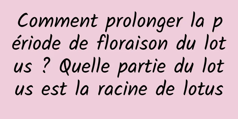 Comment prolonger la période de floraison du lotus ? Quelle partie du lotus est la racine de lotus