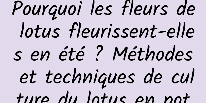 Pourquoi les fleurs de lotus fleurissent-elles en été ? Méthodes et techniques de culture du lotus en pot