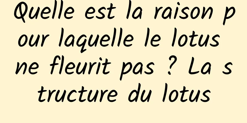 Quelle est la raison pour laquelle le lotus ne fleurit pas ? La structure du lotus