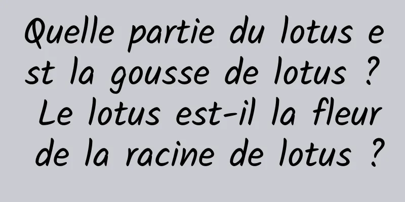 Quelle partie du lotus est la gousse de lotus ? Le lotus est-il la fleur de la racine de lotus ?