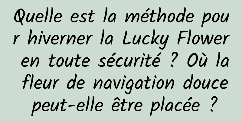 Quelle est la méthode pour hiverner la Lucky Flower en toute sécurité ? Où la fleur de navigation douce peut-elle être placée ?