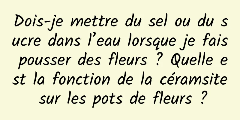 Dois-je mettre du sel ou du sucre dans l’eau lorsque je fais pousser des fleurs ? Quelle est la fonction de la céramsite sur les pots de fleurs ?