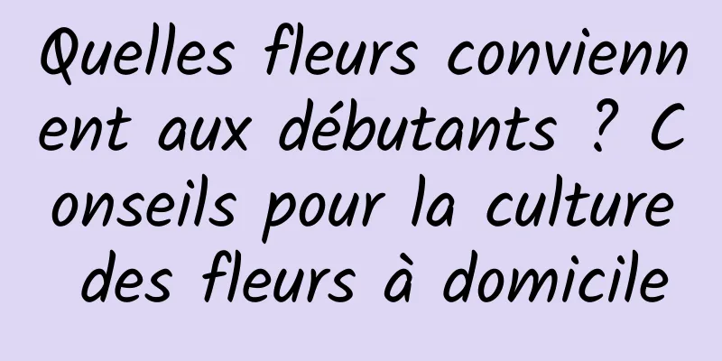 Quelles fleurs conviennent aux débutants ? Conseils pour la culture des fleurs à domicile