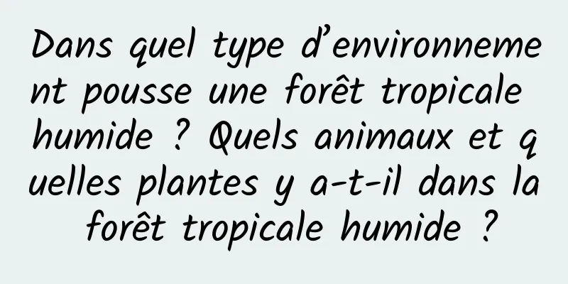 Dans quel type d’environnement pousse une forêt tropicale humide ? Quels animaux et quelles plantes y a-t-il dans la forêt tropicale humide ?