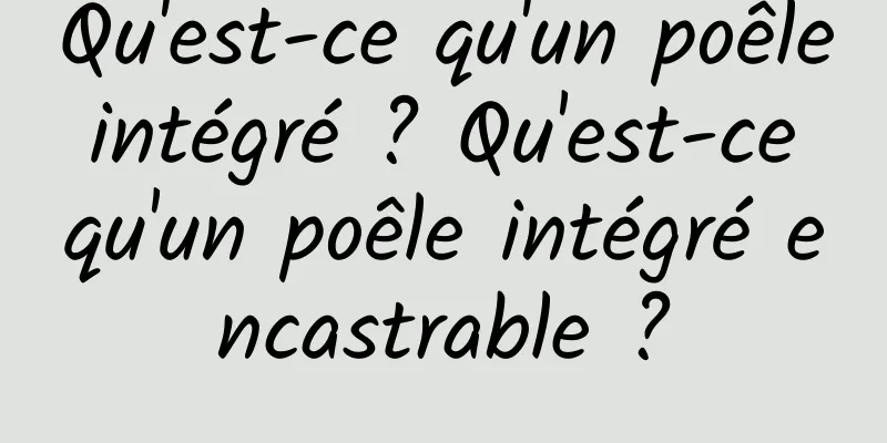 Qu'est-ce qu'un poêle intégré ? Qu'est-ce qu'un poêle intégré encastrable ?