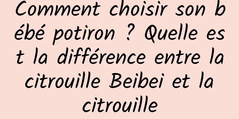 Comment choisir son bébé potiron ? Quelle est la différence entre la citrouille Beibei et la citrouille