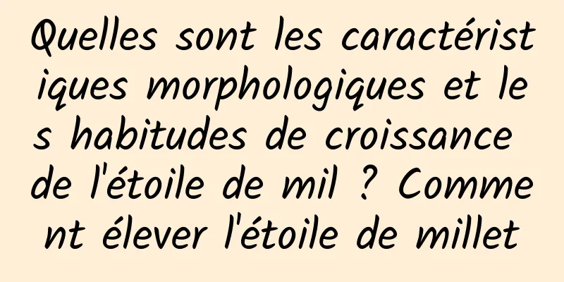 Quelles sont les caractéristiques morphologiques et les habitudes de croissance de l'étoile de mil ? Comment élever l'étoile de millet