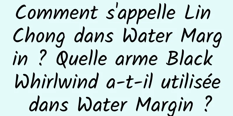 Comment s'appelle Lin Chong dans Water Margin ? Quelle arme Black Whirlwind a-t-il utilisée dans Water Margin ?