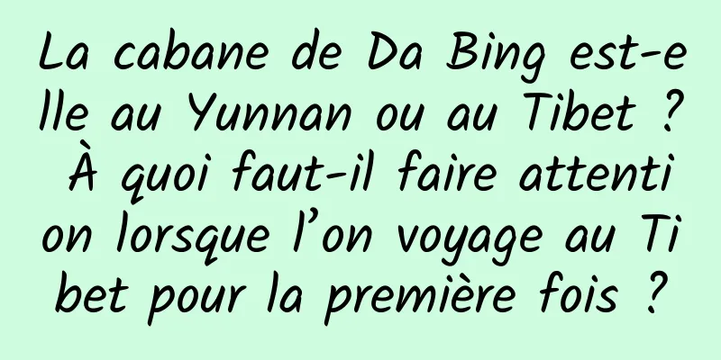 La cabane de Da Bing est-elle au Yunnan ou au Tibet ? À quoi faut-il faire attention lorsque l’on voyage au Tibet pour la première fois ?