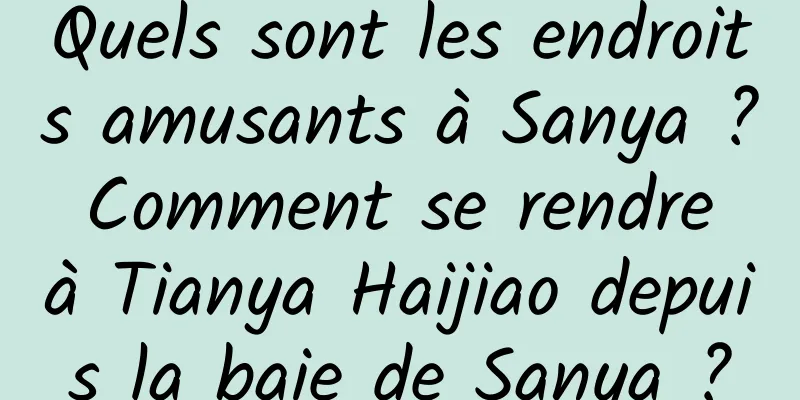 Quels sont les endroits amusants à Sanya ? Comment se rendre à Tianya Haijiao depuis la baie de Sanya ?