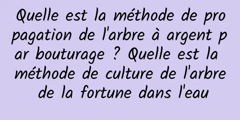 Quelle est la méthode de propagation de l'arbre à argent par bouturage ? Quelle est la méthode de culture de l'arbre de la fortune dans l'eau