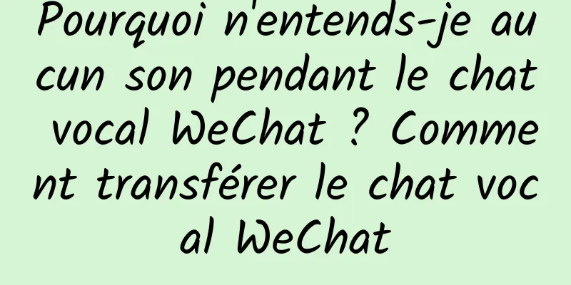 Pourquoi n'entends-je aucun son pendant le chat vocal WeChat ? Comment transférer le chat vocal WeChat