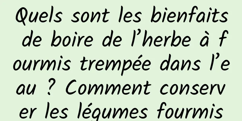 Quels sont les bienfaits de boire de l’herbe à fourmis trempée dans l’eau ? Comment conserver les légumes fourmis