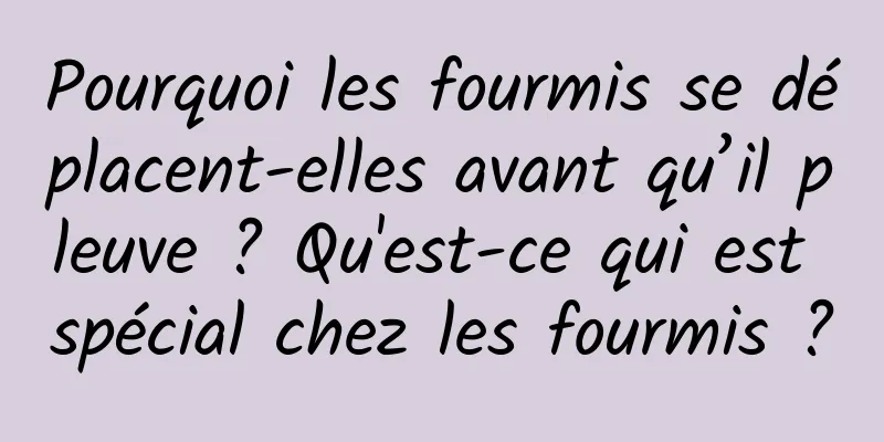 Pourquoi les fourmis se déplacent-elles avant qu’il pleuve ? Qu'est-ce qui est spécial chez les fourmis ?