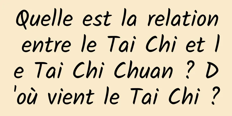 Quelle est la relation entre le Tai Chi et le Tai Chi Chuan ? D'où vient le Tai Chi ?