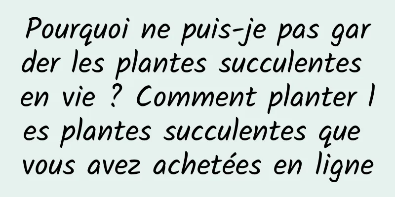 Pourquoi ne puis-je pas garder les plantes succulentes en vie ? Comment planter les plantes succulentes que vous avez achetées en ligne