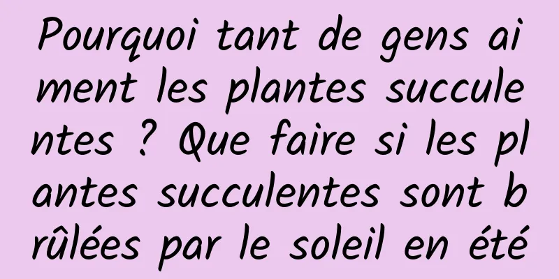 Pourquoi tant de gens aiment les plantes succulentes ? Que faire si les plantes succulentes sont brûlées par le soleil en été