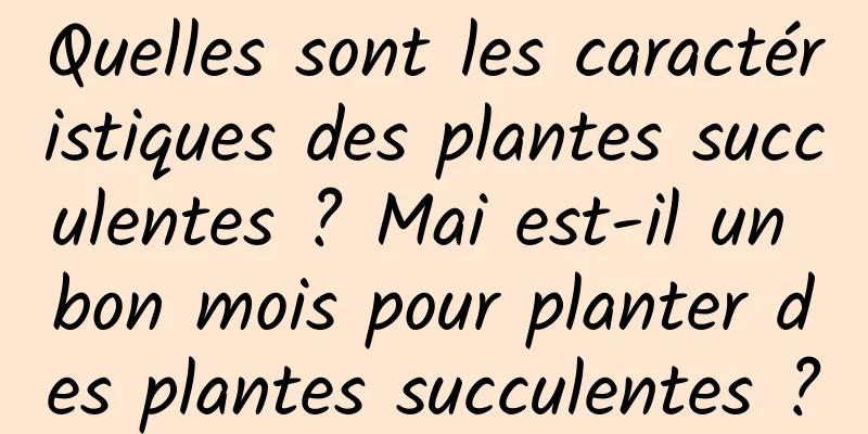 Quelles sont les caractéristiques des plantes succulentes ? Mai est-il un bon mois pour planter des plantes succulentes ?