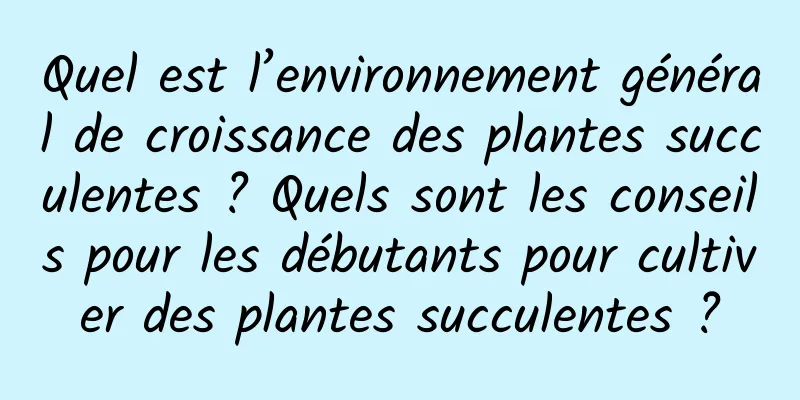 Quel est l’environnement général de croissance des plantes succulentes ? Quels sont les conseils pour les débutants pour cultiver des plantes succulentes ?