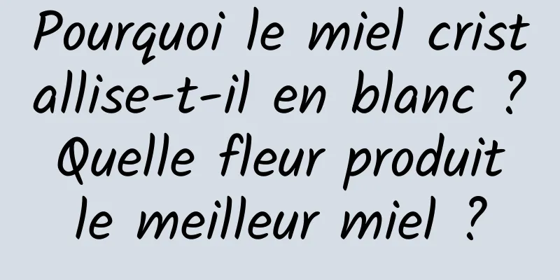 Pourquoi le miel cristallise-t-il en blanc ? Quelle fleur produit le meilleur miel ?