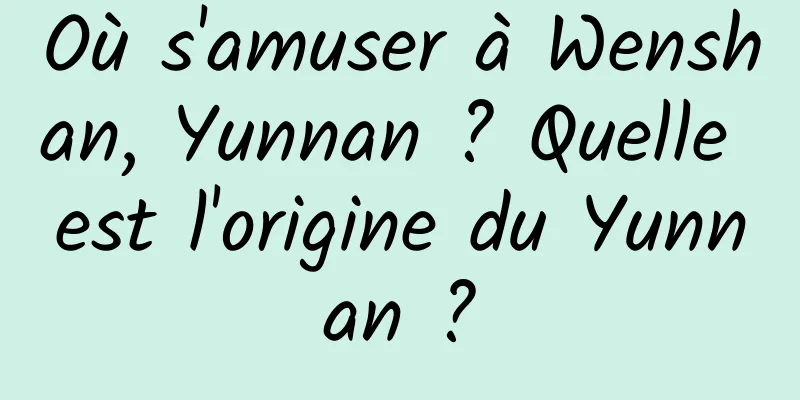 Où s'amuser à Wenshan, Yunnan ? Quelle est l'origine du Yunnan ?