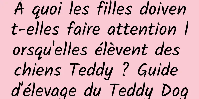 À quoi les filles doivent-elles faire attention lorsqu'elles élèvent des chiens Teddy ? Guide d'élevage du Teddy Dog