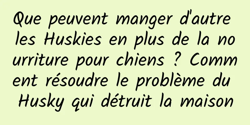 Que peuvent manger d'autre les Huskies en plus de la nourriture pour chiens ? Comment résoudre le problème du Husky qui détruit la maison
