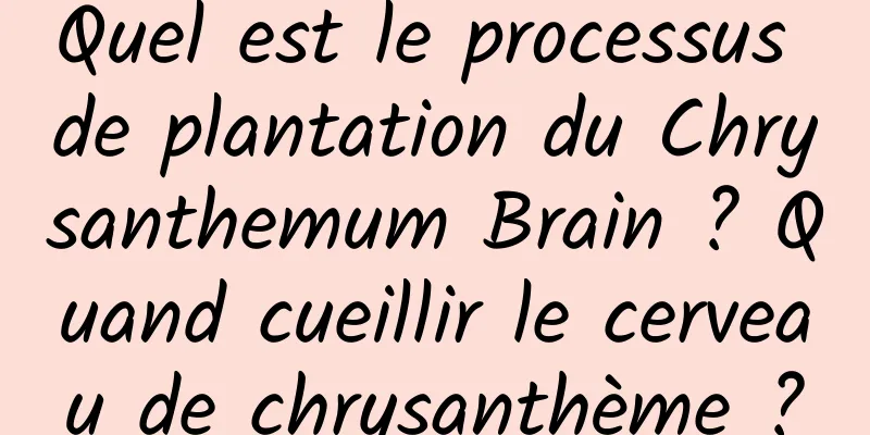 Quel est le processus de plantation du Chrysanthemum Brain ? Quand cueillir le cerveau de chrysanthème ?