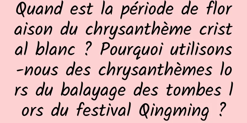 Quand est la période de floraison du chrysanthème cristal blanc ? Pourquoi utilisons-nous des chrysanthèmes lors du balayage des tombes lors du festival Qingming ?