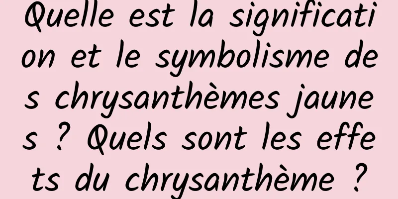 Quelle est la signification et le symbolisme des chrysanthèmes jaunes ? Quels sont les effets du chrysanthème ?