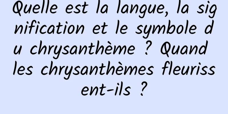 Quelle est la langue, la signification et le symbole du chrysanthème ? Quand les chrysanthèmes fleurissent-ils ?