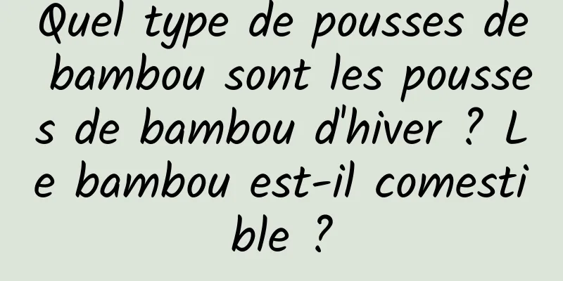 Quel type de pousses de bambou sont les pousses de bambou d'hiver ? Le bambou est-il comestible ?