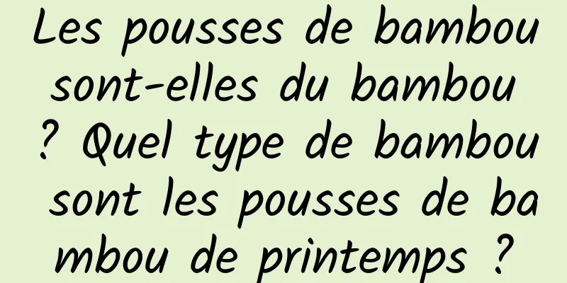 Les pousses de bambou sont-elles du bambou ? Quel type de bambou sont les pousses de bambou de printemps ?