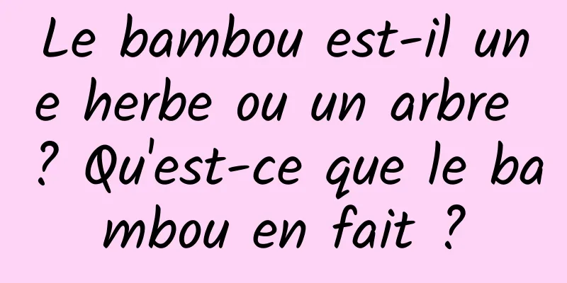 Le bambou est-il une herbe ou un arbre ? Qu'est-ce que le bambou en fait ?