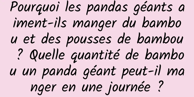 Pourquoi les pandas géants aiment-ils manger du bambou et des pousses de bambou ? Quelle quantité de bambou un panda géant peut-il manger en une journée ?