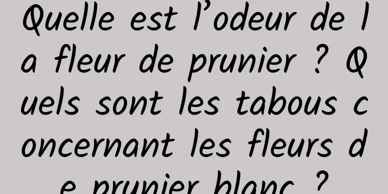 Quelle est l’odeur de la fleur de prunier ? Quels sont les tabous concernant les fleurs de prunier blanc ?