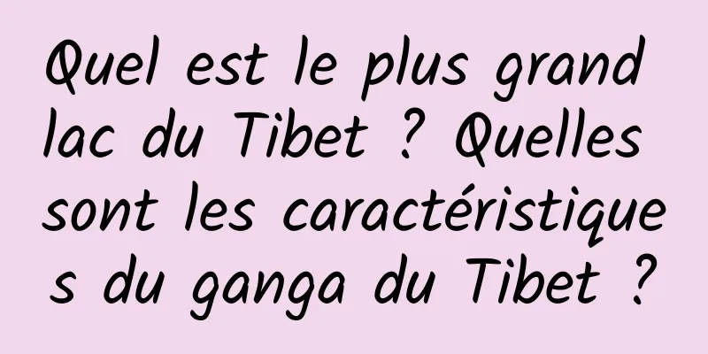 Quel est le plus grand lac du Tibet ? Quelles sont les caractéristiques du ganga du Tibet ?