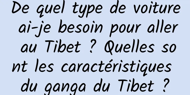 De quel type de voiture ai-je besoin pour aller au Tibet ? Quelles sont les caractéristiques du ganga du Tibet ?